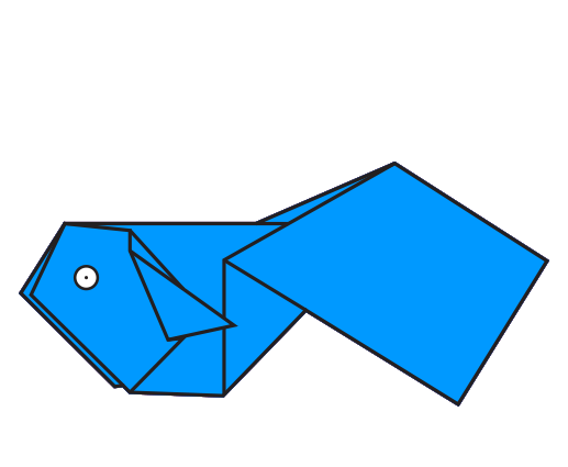 Poisson Comète