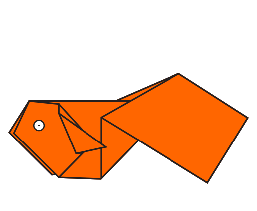 Poisson Comète