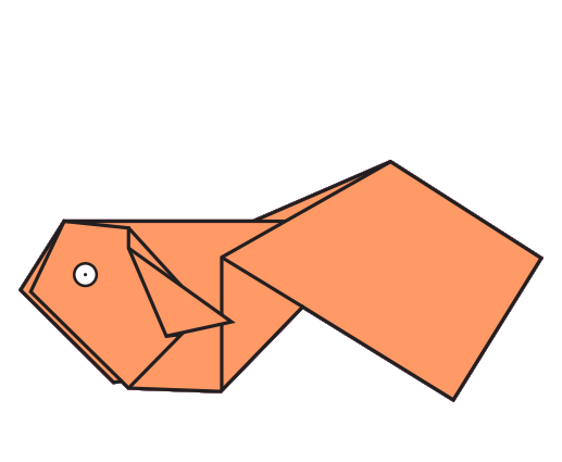 Poisson Comète