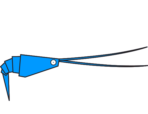 Crevette