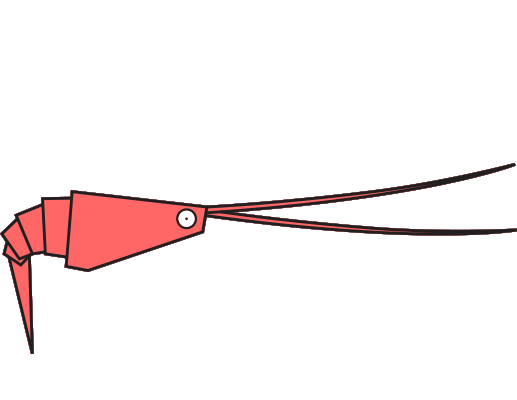 Crevette