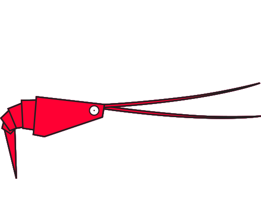 Crevette