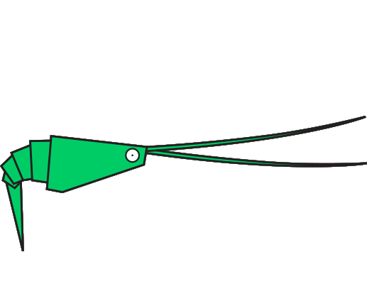 Crevette