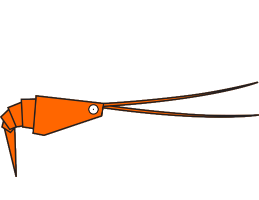 Crevette