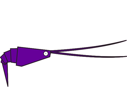 Crevette