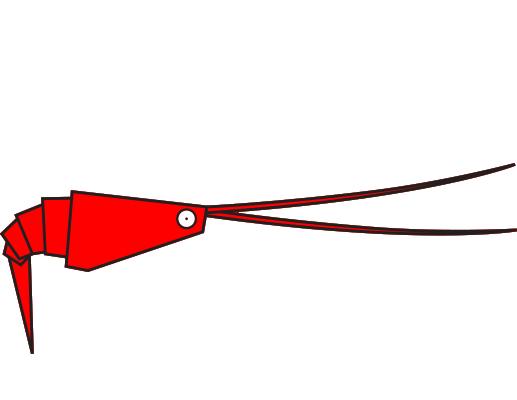 Crevette