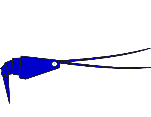 Crevette